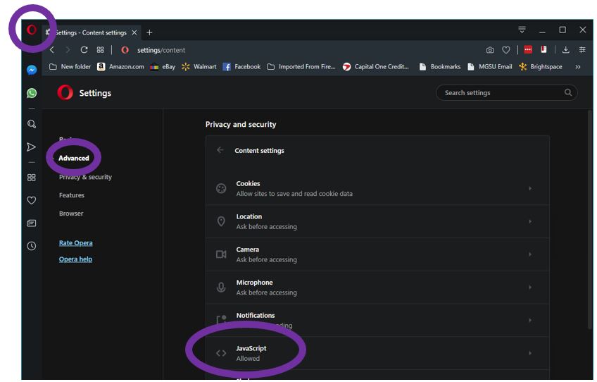 Enable JavaScript Tutorial Image