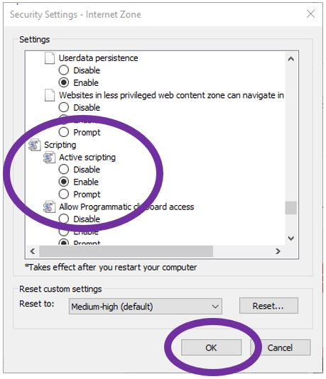 Enable JavaScript Tutorial Image